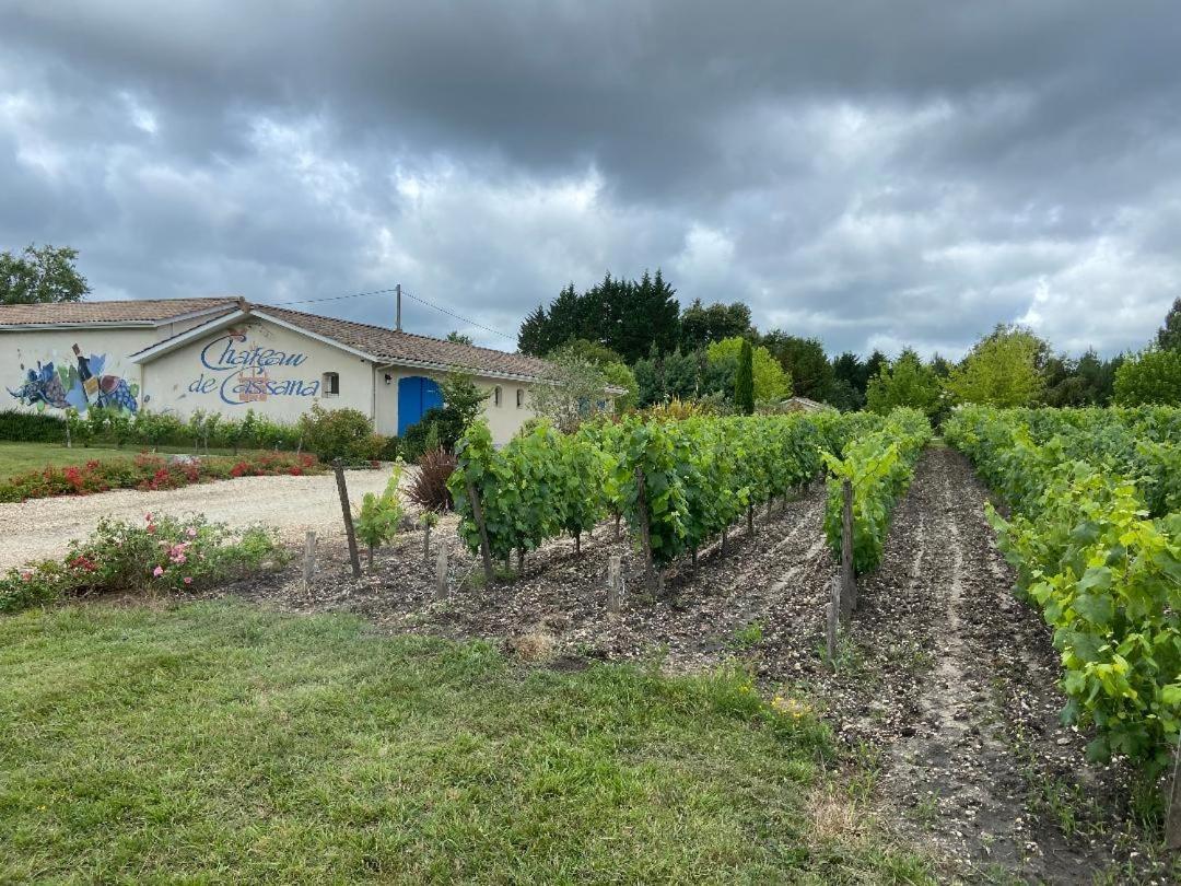 Domaine Du Cassana Villa Saint-Sauveur  Bagian luar foto